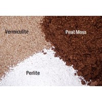 What Are the Grades of Peat Moss